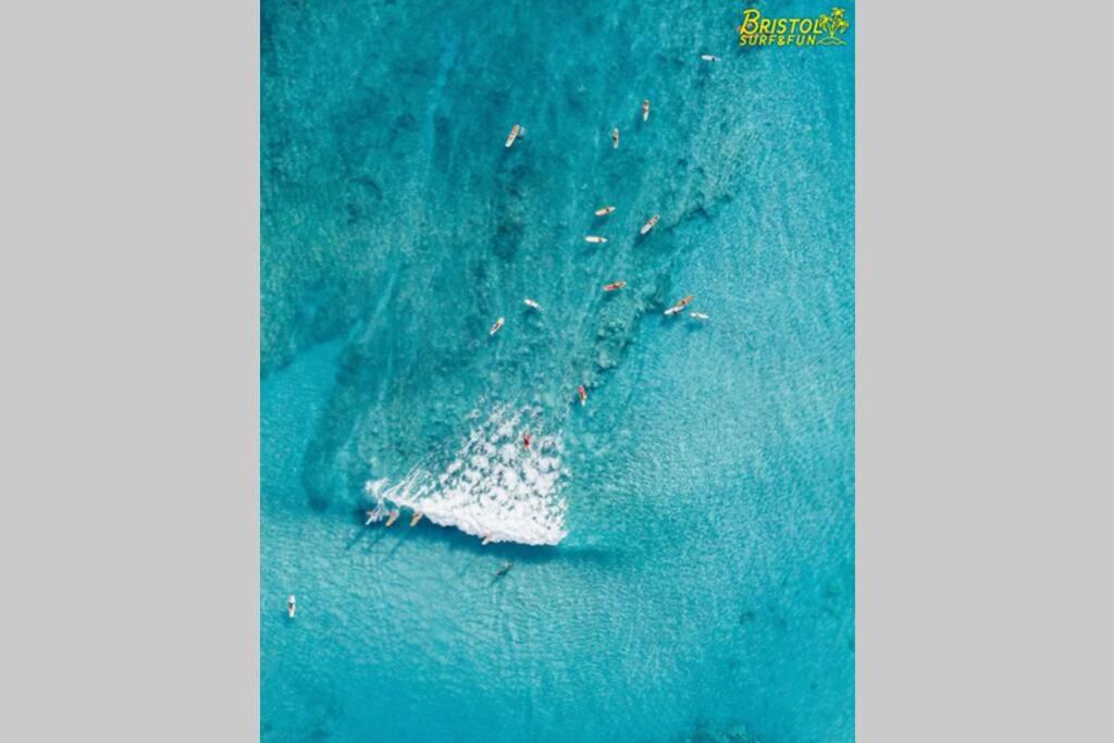 B-Rent Bristol Beach Surf & Fun Κοραλέχο Εξωτερικό φωτογραφία